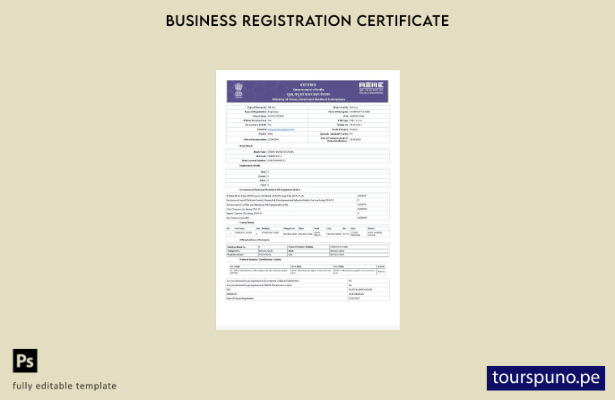 listo para imprimir Certificado de registro de India Udyam Plantilla de Word y 4